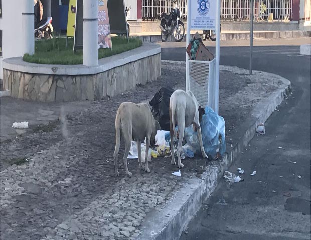 Foto Brumado Acontece