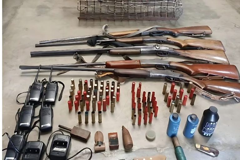 CIPPA Lençóis apreende armas e equipamentos de caça ilegal na zona rural de Érico Cardoso