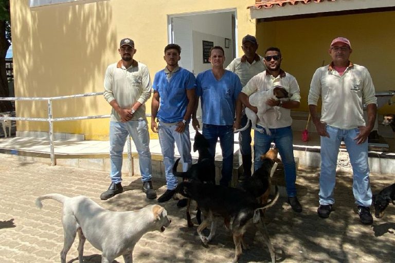 Canil Municipal de Guanambi atende mais de 3,5 mil cães em 2025 e reforça saúde pública
