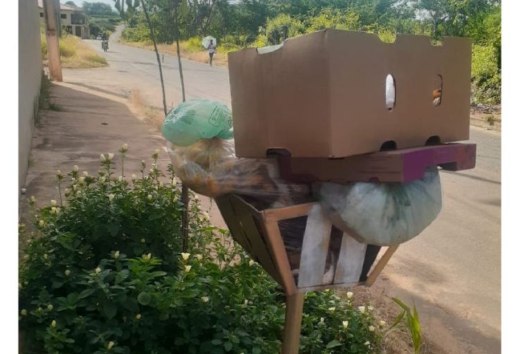 Morador denuncia falhas na coleta de lixo em avenida de Macaúbas; prefeitura promete normalizar serviço