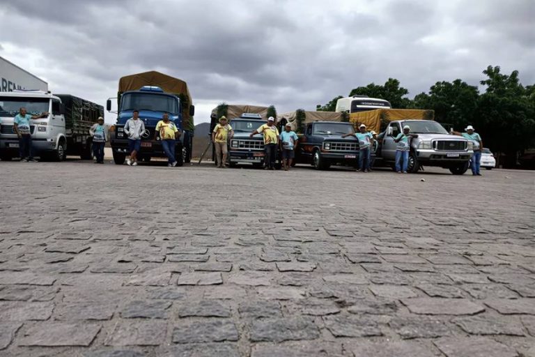 Romeiros de Ipiaú encaram 600 km em pau de arara para manter tradição religiosa