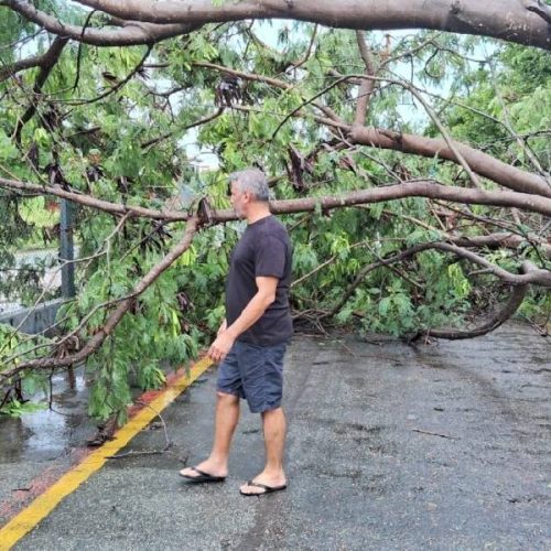Temporal de 100 mm causa estragos e mobiliza equipes em Guanambi