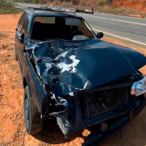 Animal solto causa acidente e destrói carro na BA-152 em Paramirim