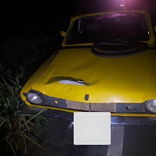 Animal solto na pista provoca acidente e deixa mulher ferida na BR-122, em Urandi