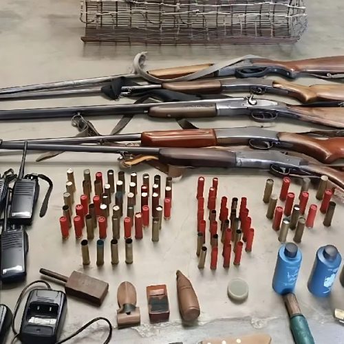 CIPPA Lençóis apreende armas e equipamentos de caça ilegal na zona rural de Érico Cardoso