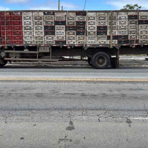 CIPRv/Brumado apreende veículo com transporte irregular de frangos na BR-415