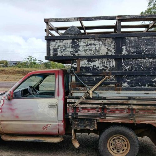 CIPRv/Brumado apreende veículo por transporte irregular de bovinos em Vitória da Conquista