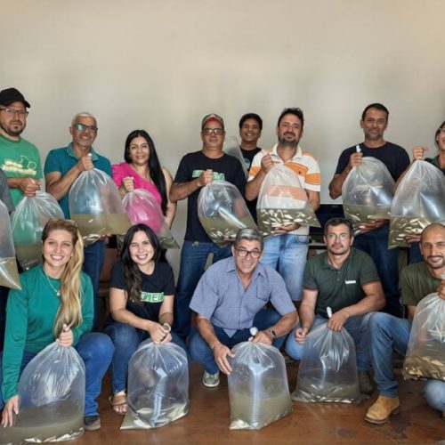 Caculé recebe 43 mil alevinos para repovoar barragens e impulsionar piscicultura local