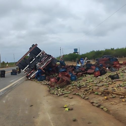 Caminhão carregado com manga tomba na BR-030, em Caetité
