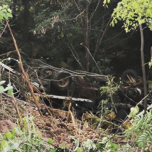Caminhoneiro de Pernambuco morre após caminhão cair em ribanceira na Serra das Almas
