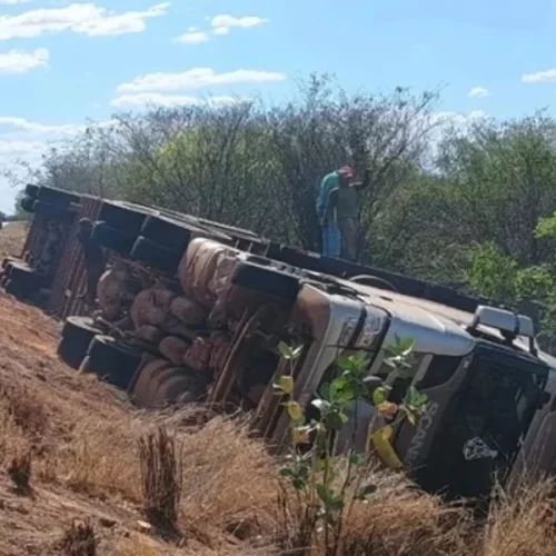 Carreta com bois tomba na BR-030; mais de 14 animais morrem e motorista fica ferido