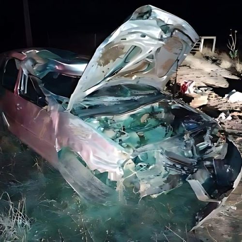 Carro bate em vaca e duas pessoas morrem na BR-030 no município de Guanambi