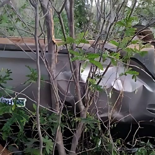 Carro capota na BA-263 e deixa duas mulheres feridas em Palmas de Monte Alto