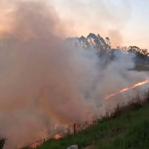 Chá de revelação causa incêndio em vegetação na Serra do Marçal
