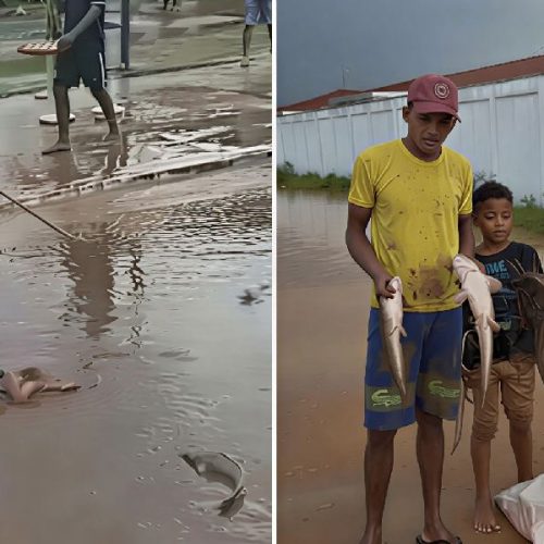 Chuva forte arrasta peixes para ruas e surpreende moradores em Ipiaú; vídeos viralizam nas redes