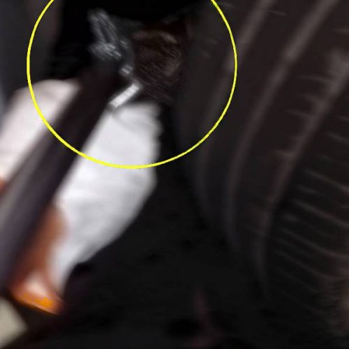 Cobra invade carro em Brumado e mobiliza bombeiros por horas no bairro São Félix