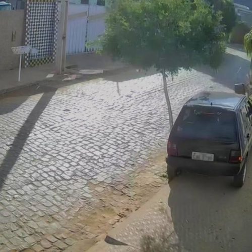 Condutor perde controle, sobe em calçada e colide com árvore