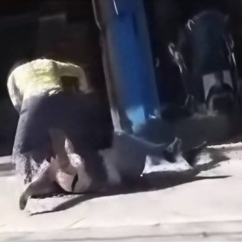 Confusão no trânsito termina em pancadaria no centro de Conquista