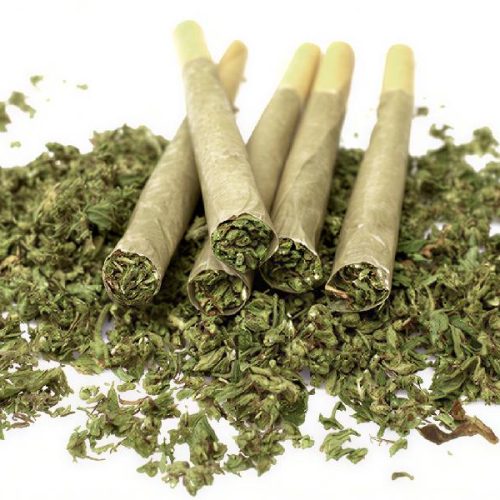 Consumo de drogas dispara no Brasil e acende alerta; maconha lidera avanço e uso cresce 80% em 11 anos