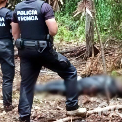 Corpo de jovem é encontrado em estado de decomposição às margens da BR-101 em Itagimirim