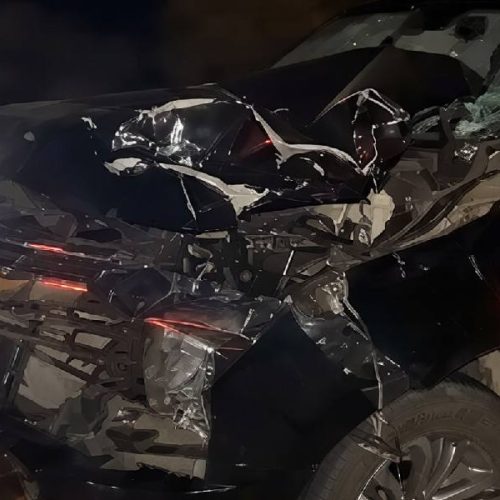 Deputado estadual sofre acidente com animal na pista e escapa ileso após carro ficar destruído