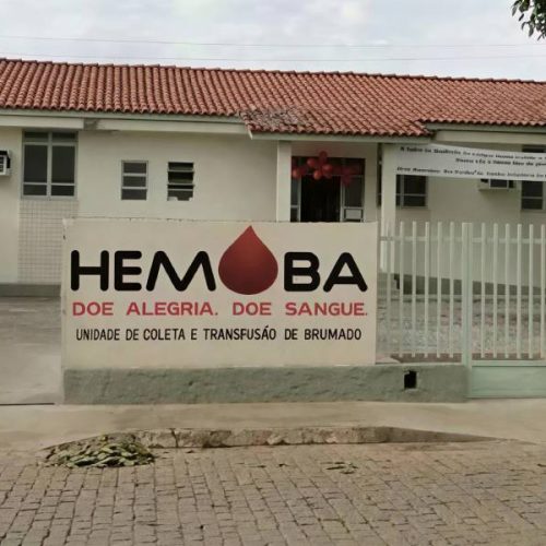 Estudantes promovem campanha de doação de sangue para reforçar estoque da Hemoba em Brumado