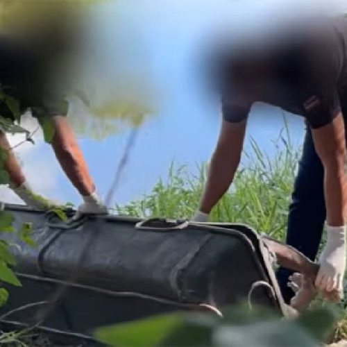 Eunápolis: homem é encontrado morto em lagoa e polícia investiga causas