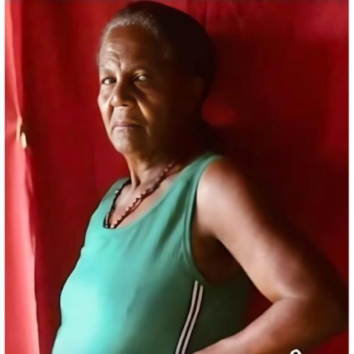 Família de Botuporã busca por idosa desaparecida desde terça-feira