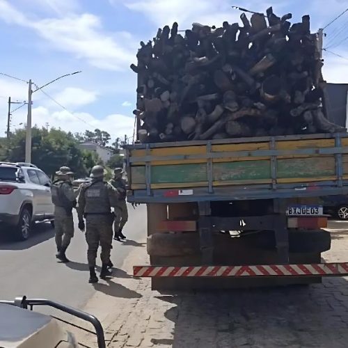 Fiscalização flagra caminhão com madeira ilegal e motosserra irregular na BA-152, em Paramirim