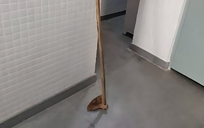 Homem é preso após ameaçar a mãe com enxada; idosa corre para se salvar em Palmas de Monte Alto