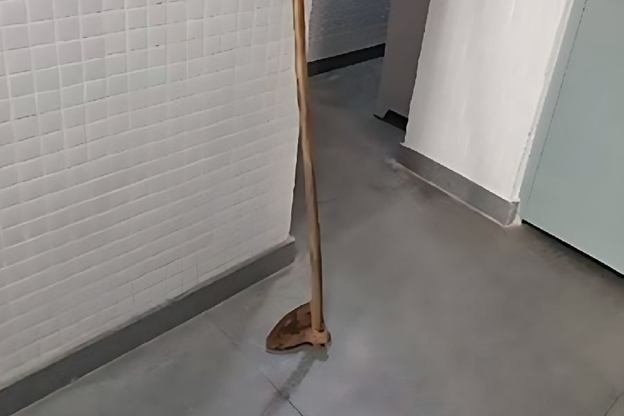 Homem é preso após ameaçar a mãe com enxada; idosa corre para se salvar em Palmas de Monte Alto