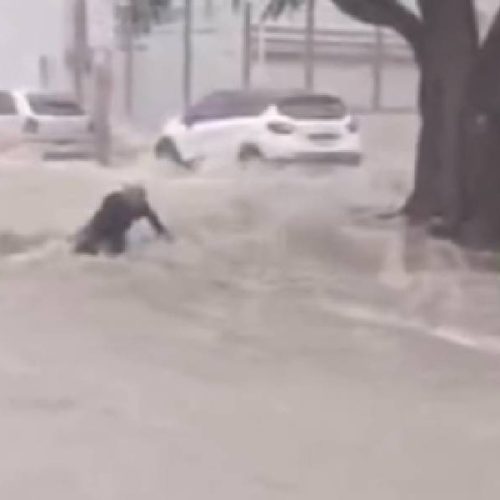 Homem em Vitória da Conquista é arrastado por enxurrada durante forte chuva