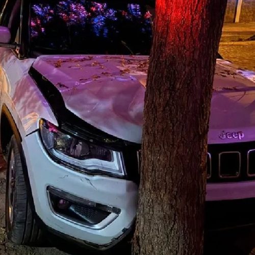 Homem tenta furtar carro ligado, bate em árvore e foge em Bom Jesus da Lapa