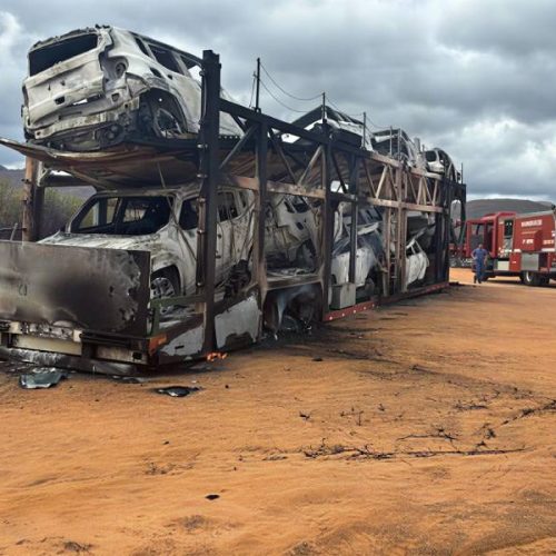 Incêndio destrói 10 carros transportados por caminhão-cegonha na BA-026 em Maracás
