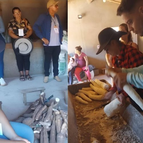 Intercâmbio de Saberes fortalece agricultura familiar em Lagoa Real e Rio do Antônio