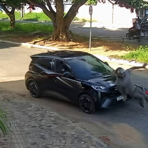 Motociclista é arrastado por carro e fica em estado gravíssimo após acidente em Conquista