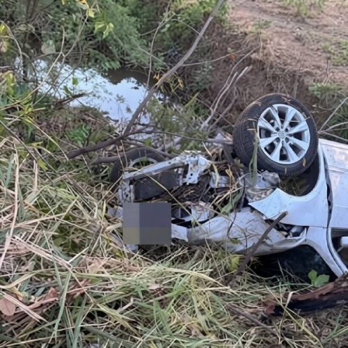 Motorista desvia de cachorro e capota na BR-030 em Guanambi