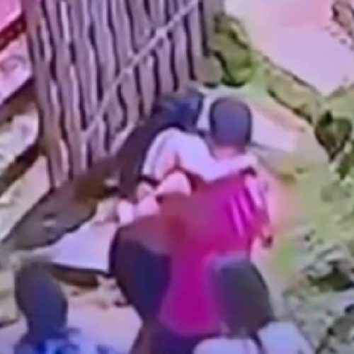 Mulher de Vitória da Conquista é picada por cobra e segue em coma