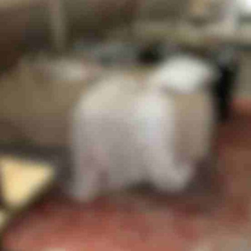 Mulher denuncia estupro após entrar em motel com três homens na cidade de Itabuna