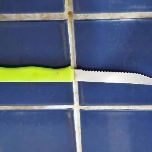 Mulher é presa após briga com faca deixar vítima ferida em Brumado