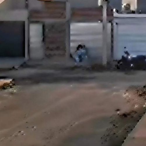 Mulher salva cão de ataque de pitbull e relata pânico em Brumado