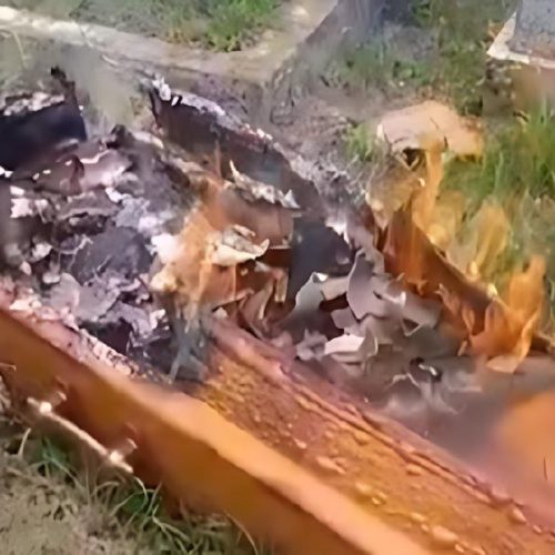Terror em enterro: criminosos atacam sepultamento, atiram e incendeiam caixão no sul da Bahia