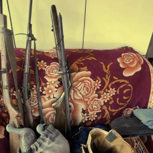 Operação Ambiental flagra arsenal e animais mortos em Casa de Criador em Ibicoara