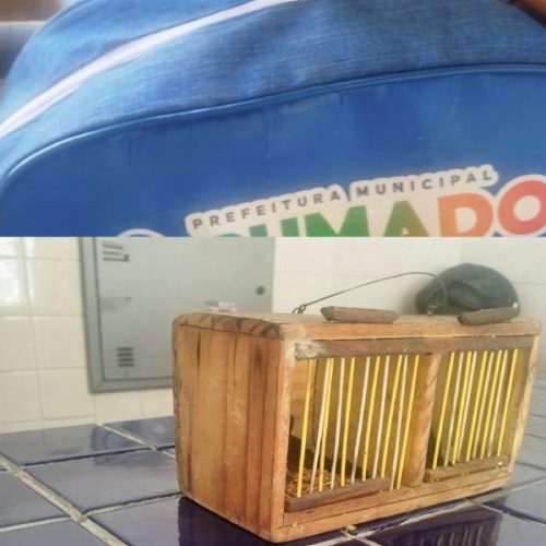 PM flagra curiós escondidos em mochila escolar durante fiscalização na rodoviária de Brumado