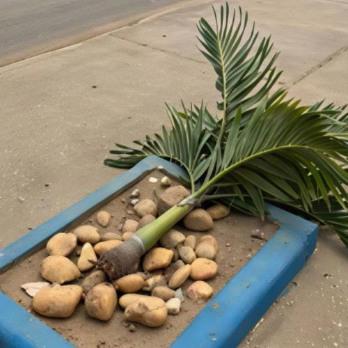 PM identifica suspeitos de vandalismo contra patrimônio público em Condeúba