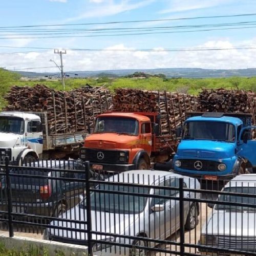 Polícia intercepta carga ilegal de madeira nativa na BR-030 e apreende 90 m³ no sudoeste da Bahia