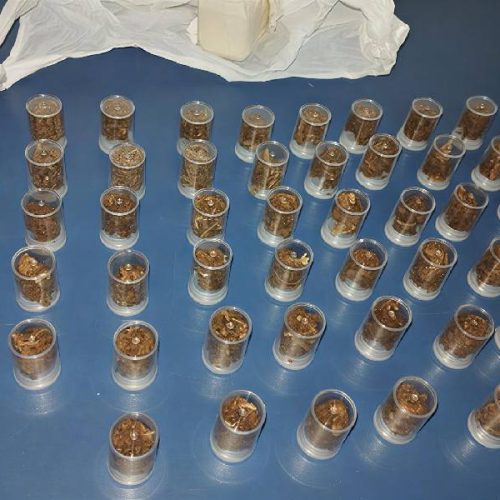 Polícia prende homem com drogas durante ação na madrugada em Ribeirão do Largo