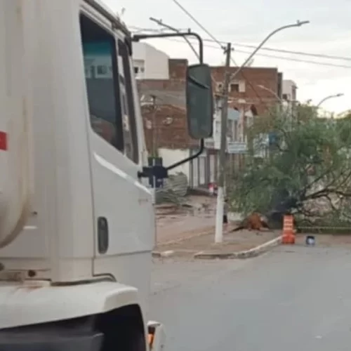 Prefeitura de Brumado mobiliza força-tarefa após temporal com ventania