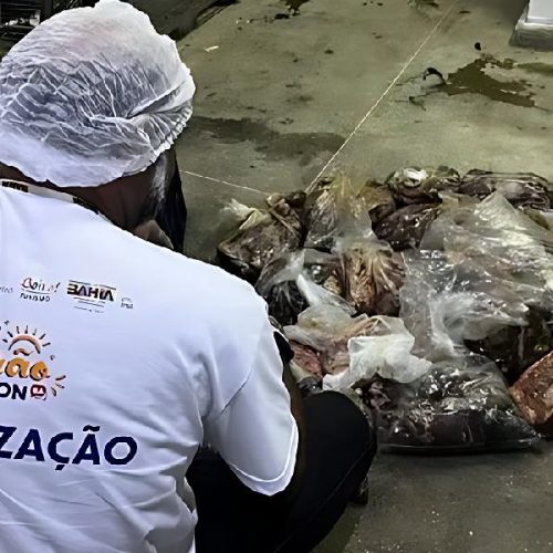Procon retira mais de 140 kg de carne estragada de supermercado em destino turístico da Bahia