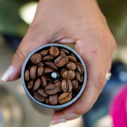 Rio de Contas recebe encontro que valoriza café de altitude e cultura local